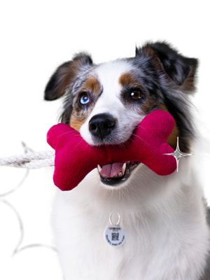 Для совместной игры Mr.Kranch Игрушка Mr.Kranch для собак мелких и средних пород Косточка с канатом 31х9х4см, ярко розовая (вид 10) Для совместной игры Mr.Kranch Игрушка Mr.Kranch для собак мелких и средних пород Косточка с канатом 31х9х4см, ярко розовая (фото, вид 10)