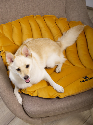 Лежанки, коврики, домики Mr.Kranch Лежанка Mr.Kranch для собак Листочек большая, размер 120х73х6см, охра (вид 10) Лежанки, коврики, домики Mr.Kranch Лежанка Mr.Kranch для собак Листочек большая, размер 120х73х6см, охра (фото, вид 10)