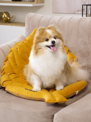 Лежанки, коврики, домики Mr.Kranch Лежанка Mr.Kranch для собак Листочек средняя двусторонняя с имитацией кожи, размер 90х65х5см, охра (вид 11) Лежанки, коврики, домики Mr.Kranch Лежанка Mr.Kranch для собак Листочек средняя двусторонняя с имитацией кожи, размер 90х65х5см, охра (фото, вид 11)