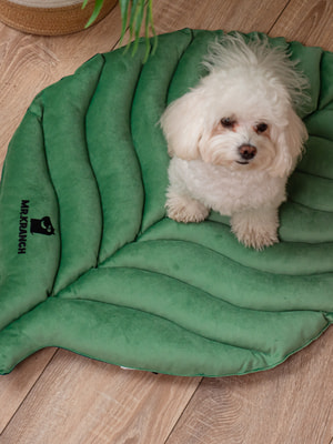 Лежанки, коврики, домики Mr.Kranch Лежанка Mr.Kranch для собак Листочек средняя двусторонняя, размер 90х65х5см, зеленая (вид 2) Лежанки, коврики, домики Mr.Kranch Лежанка Mr.Kranch для собак Листочек средняя двусторонняя, размер 90х65х5см, зеленая (фото, вид 2)