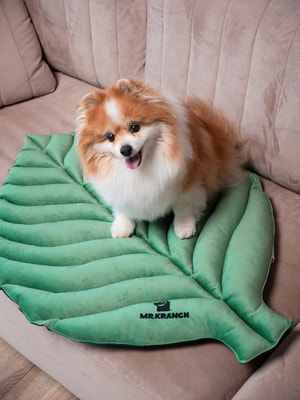 Лежанки, коврики, домики Mr.Kranch Лежанка Mr.Kranch для собак Листочек средняя двусторонняя, размер 90х65х5см, зеленая (вид 8) Лежанки, коврики, домики Mr.Kranch Лежанка Mr.Kranch для собак Листочек средняя двусторонняя, размер 90х65х5см, зеленая (фото, вид 8)