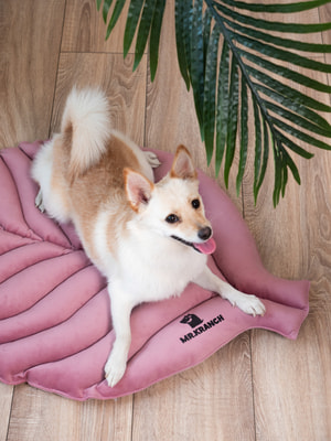 Лежанки, коврики, домики Mr.Kranch Лежанка Mr.Kranch для собак Листочек средняя двусторонняя, размер 90х65х5см, розовая (вид 10) Лежанки, коврики, домики Mr.Kranch Лежанка Mr.Kranch для собак Листочек средняя двусторонняя, размер 90х65х5см, розовая (фото, вид 10)