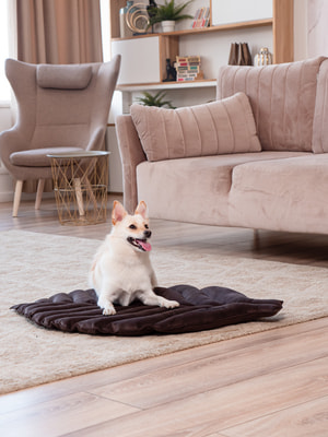 Лежанки, коврики, домики Mr.Kranch Лежанка Mr.Kranch для собак Листочек средняя, размер 90х65х5см, коричневая (вид 10) Лежанки, коврики, домики Mr.Kranch Лежанка Mr.Kranch для собак Листочек средняя, размер 90х65х5см, коричневая (фото, вид 10)