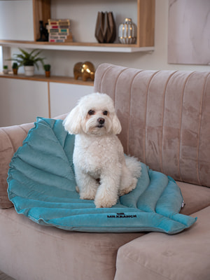 Лежанки, коврики, домики Mr.Kranch Лежанка Mr.Kranch для собак Листочек средняя, размер 90х65х5см, мятная (вид 9) Лежанки, коврики, домики Mr.Kranch Лежанка Mr.Kranch для собак Листочек средняя, размер 90х65х5см, мятная (фото, вид 9)