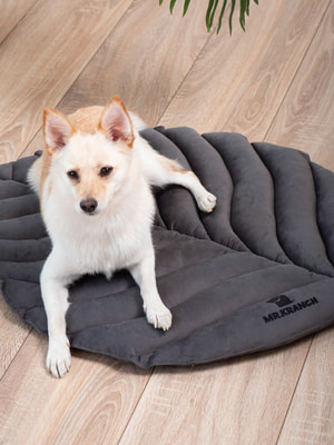 Лежанки, коврики, домики Mr.Kranch Лежанка Mr.Kranch для собак Листочек средняя, размер 90х65х5см, серая (вид 10) Лежанки, коврики, домики Mr.Kranch Лежанка Mr.Kranch для собак Листочек средняя, размер 90х65х5см, серая (фото, вид 10)