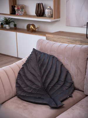 Лежанки, коврики, домики Mr.Kranch Лежанка Mr.Kranch для собак Листочек средняя, размер 90х65х5см, серая (вид 11) Лежанки, коврики, домики Mr.Kranch Лежанка Mr.Kranch для собак Листочек средняя, размер 90х65х5см, серая (фото, вид 11)