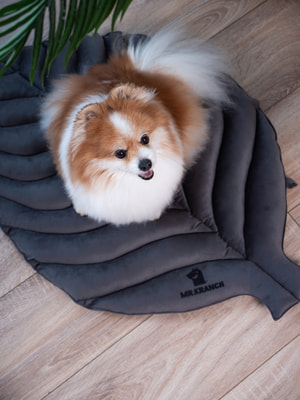 Лежанки, коврики, домики Mr.Kranch Лежанка Mr.Kranch для собак Листочек средняя, размер 90х65х5см, серая (вид 12) Лежанки, коврики, домики Mr.Kranch Лежанка Mr.Kranch для собак Листочек средняя, размер 90х65х5см, серая (фото, вид 12)