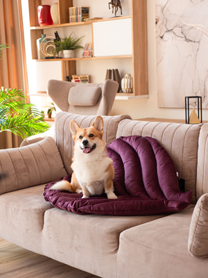 Лежанки, коврики, домики Mr.Kranch Лежанка Mr.Kranch для собак Листочек средняя, размер 90х65х5см, фиолетовая (вид 3) Лежанки, коврики, домики Mr.Kranch Лежанка Mr.Kranch для собак Листочек средняя, размер 90х65х5см, фиолетовая (фото, вид 3)