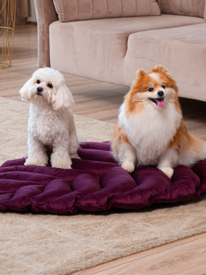 Лежанки, коврики, домики Mr.Kranch Лежанка Mr.Kranch для собак Листочек средняя, размер 90х65х5см, фиолетовая (вид 9) Лежанки, коврики, домики Mr.Kranch Лежанка Mr.Kranch для собак Листочек средняя, размер 90х65х5см, фиолетовая (фото, вид 9)