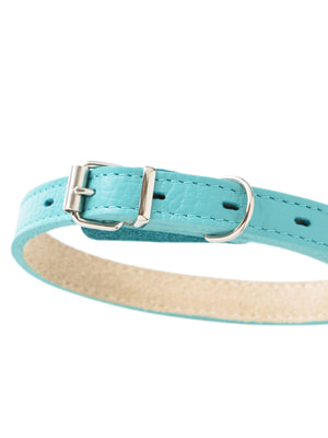 Ошейники, шлейки, намордники Mr.Kranch Ошейник Mr.Kranch для собак из натуральной кожи прямой, 29-35см, бирюзовый (вид 1) Ошейники, шлейки, намордники Mr.Kranch Ошейник Mr.Kranch для собак из натуральной кожи прямой, 29-35см, бирюзовый (фото, вид 1)