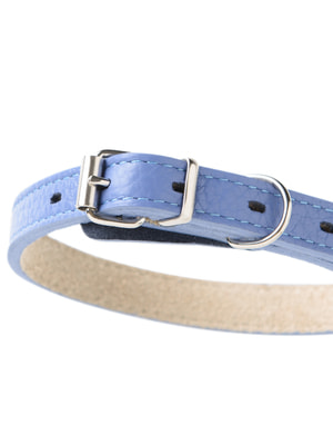 Ошейники, шлейки, намордники Mr.Kranch Ошейник Mr.Kranch для собак из натуральной кожи прямой, 39-50см, васильковый (вид 4) Ошейники, шлейки, намордники Mr.Kranch Ошейник Mr.Kranch для собак из натуральной кожи прямой, 39-50см, васильковый (фото, вид 4)
