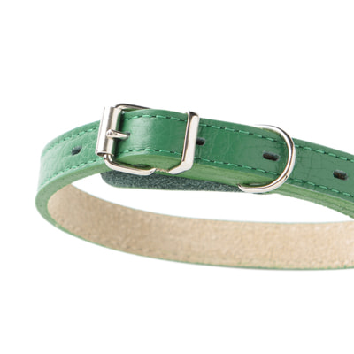 Ошейники, шлейки, намордники Mr.Kranch Ошейник Mr.Kranch для собак из натуральной кожи прямой, 48-60см, зеленый (вид 1) Ошейники, шлейки, намордники Mr.Kranch Ошейник Mr.Kranch для собак из натуральной кожи прямой, 48-60см, зеленый (фото, вид 1)