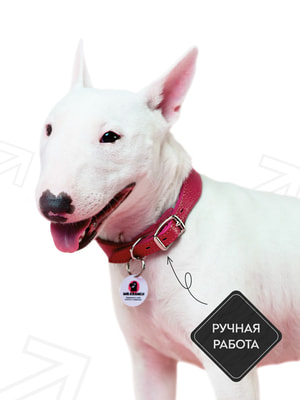 Ошейники, шлейки, намордники Mr.Kranch Ошейник-селедка Mr.Kranch для собак из натуральной кожи с QR-адресником, 19-23см, малиновый (вид 4) Ошейники, шлейки, намордники Mr.Kranch Ошейник-селедка Mr.Kranch для собак из натуральной кожи с QR-адресником, 19-23см, малиновый (фото, вид 4)