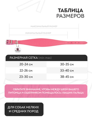 , ,  Mr.Kranch - Mr.Kranch       QR-, 19-23,  (,  2)