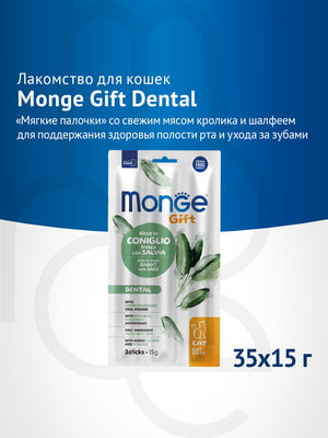  Monge  Monge Gift Dental   " "          15  (,  6)