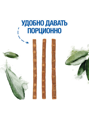  Monge  Monge Gift Dental   " "          15  (,  10)