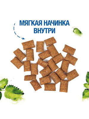  Monge  Monge Gift Dental   "   "         60  (,  10)