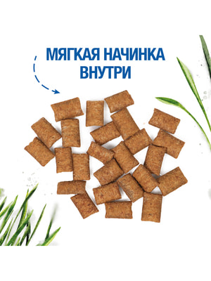  Monge  Monge Gift Hairball   "   "         60  (,  10)