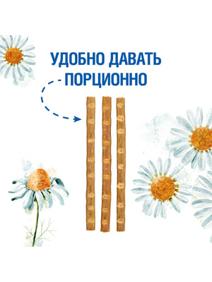  Monge  Monge Gift Kitten   " "      15  (,  10)