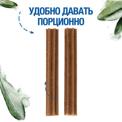  Monge  Monge Gift Dental Mini     " "        120  (,  4)