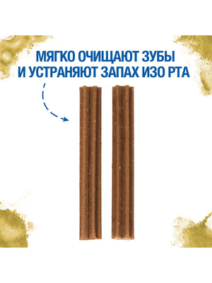  Monge  Monge Gift Immunity support     " "         45  (,  10)