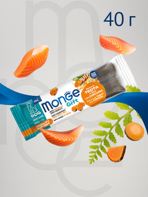  Monge  Monge Gift Mobility support     " "  ,        40  (,  7)