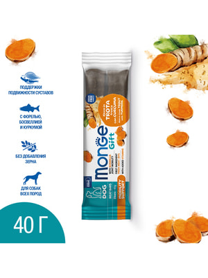  Monge  Monge Gift Mobility support     " "  ,        40  (,  9)