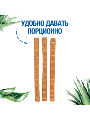  Monge  Monge Gift Skin support     " "   ,        45  (,  10)