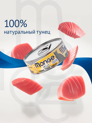 Повседневные корма Monge Влажный корм Monge jelly Adult cat для взрослых кошек с желтоперым тунцом, консервы 80 г (вид 3) Повседневные корма Monge Влажный корм Monge jelly Adult cat для взрослых кошек с желтоперым тунцом, консервы 80 г (фото, вид 3)