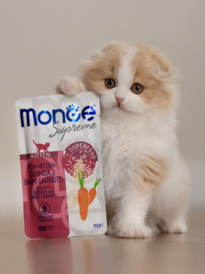 Повседневные корма Monge Влажный корм Monge Supreme kitten для котят из тунца с киноа и мини-морковью, паучи 80 г (вид 6) Повседневные корма Monge Влажный корм Monge Supreme kitten для котят из тунца с киноа и мини-морковью, паучи 80 г (фото, вид 6)