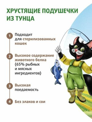    Ը               40  (,  6)