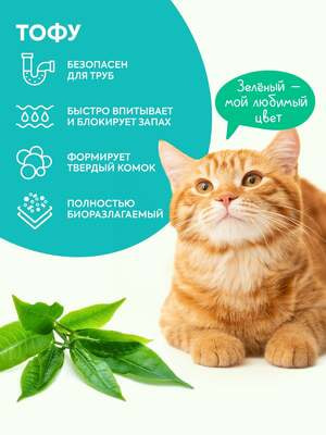 ,  Cat's choice     Cat's choice   " " 6 /2,5  (,  2)