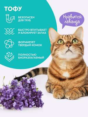 ,  Cat's choice     Cat's choice   "" 6 /2,5  (,  2)