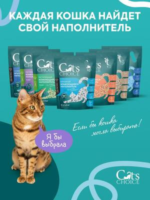 ,  Cat's choice     Cat's choice   "" 6 /2,5  (,  10)