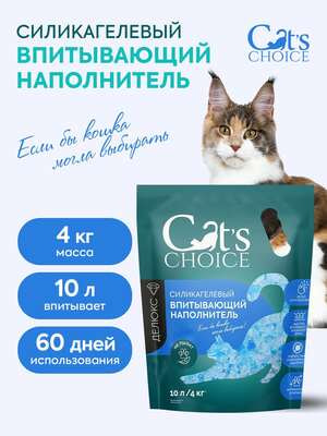,  Cat's choice    Cat's choice    10 /4  (,  6)