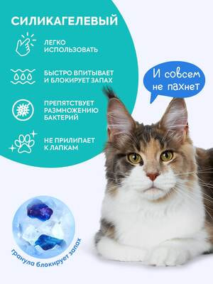 ,  Cat's choice    Cat's choice    10 /4  (,  7)