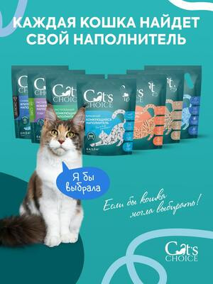 ,  Cat's choice    Cat's choice    10 /4  (,  10)