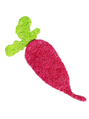 Bambini Pets Игрушка Bambini Pets для грызунов "Редиски" из люфы. Количество 2 шт (вид 3) Bambini Pets Игрушка Bambini Pets для грызунов "Редиски" из люфы. Количество 2 шт (фото, вид 3)