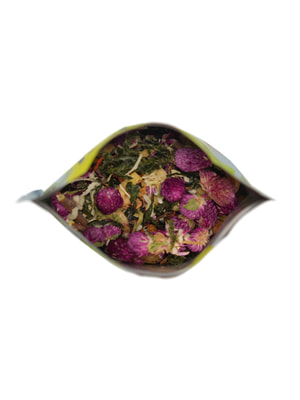   Bambini Pets  Bambini Pets  , 800  (,  4)