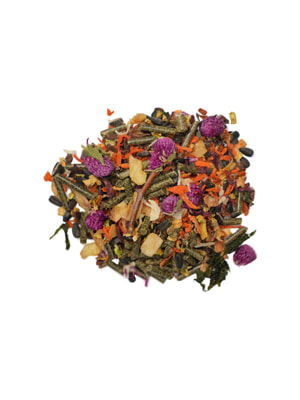   Bambini Pets  Bambini Pets  , 800  (,  11)