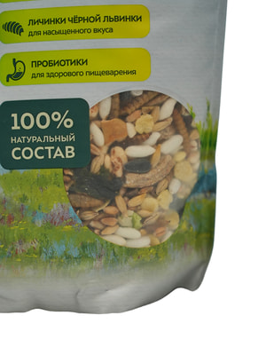   Bambini Pets  Bambini Pets    , 800  (,  3)