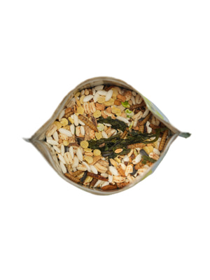   Bambini Pets  Bambini Pets    , 800  (,  11)