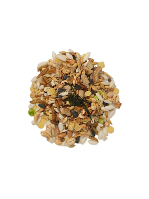   Bambini Pets  Bambini Pets    , 800  (,  12)