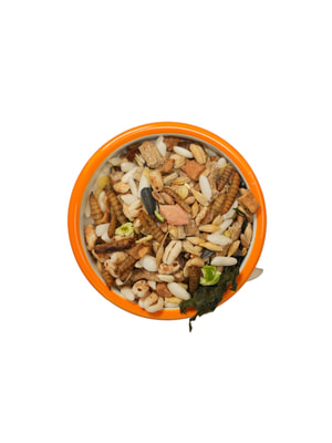   Bambini Pets  Bambini Pets    , 800  (,  14)