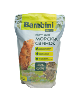   Bambini Pets  Bambini Pets   , 800  (,  1)