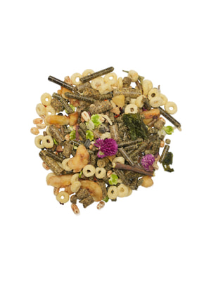   Bambini Pets  Bambini Pets   , 800  (,  5)