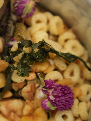   Bambini Pets  Bambini Pets   , 800  (,  10)