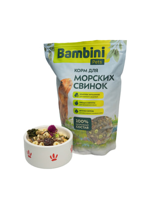   Bambini Pets  Bambini Pets   , 800  (,  12)