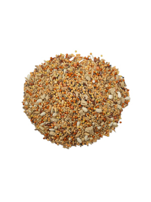   Bambini Pets  Bambini Pets   , 400  (,  8)