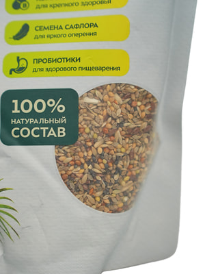   Bambini Pets  Bambini Pets   , 800  (,  3)